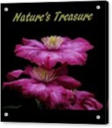 Nature's Treasure Acrylic Print