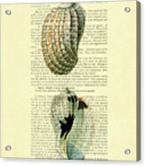 Nautical Sea Shells On Antique French Book Page Acrylic Print