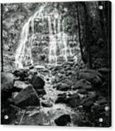 Nelson Falls, Tasmania, Australia 2 Acrylic Print