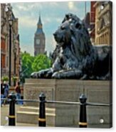 Nelson's Lion Acrylic Print