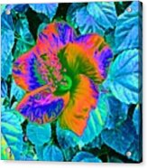 Neon Flower On Blue Bush Acrylic Print