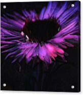Neon Flower Acrylic Print