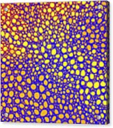 Neuron Abstract Purple Blue Yellow Acrylic Print