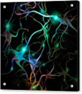 Neurons Network Acrylic Print