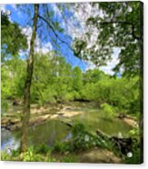 Neuse River Trail - Raleigh North Carolina Acrylic Print