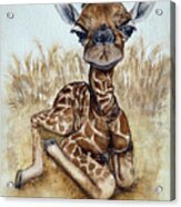New Born Baby Giraffe Acrylic Print
