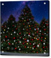 New York Botanical Garden Christmas Trees And Night Sky Acrylic Print