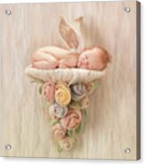 Newborn Angel With Roses Acrylic Print