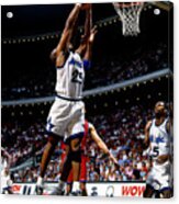 Nick Anderson Acrylic Print