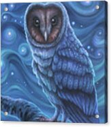 Night Owl Acrylic Print