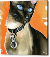 Nina Siamese Cat Painting Acrylic Print