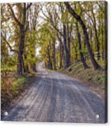 Northern Virginia Country Road Acrylic Print