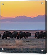 Now That's A Colorado Sunset Acrylic Print