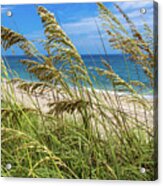 Ocean Beach Dunes Acrylic Print