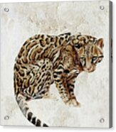 Ocelot Wild Cat Animal Painting Acrylic Print