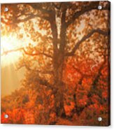 October Sunset Acrylic Print