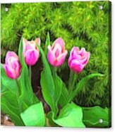 Ode To Spring Acrylic Print