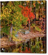 Ode To The Oranges And  Yellows  Of Autumn Acrylic Print