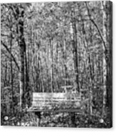 Old Bench In The Fallen Leaves Creeper Trail In Autumn Fall Blac Acrylic Print