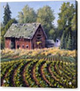 Old Farmstead Acrylic Print