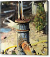 Old Pump In Garden Acrylic Print