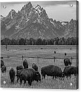 On The Range Acrylic Print