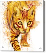 Orange Chasing Cat Splatter Painting, Watercolor Cat, Acrylic Print