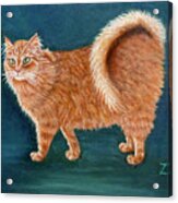 Orange Ringtail Cat Acrylic Print