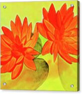 Orange Waterlily Acrylic Print