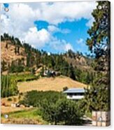 Orchard Apple Crates And Lone Pine Acrylic Print