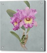Orchid Seduction Acrylic Print