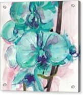 Orchids Acrylic Print