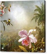 Orchids Nesting Hummingbirds And A Butterfly Acrylic Print
