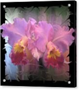 Orchids On Ice Acrylic Print