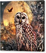 Owl In Moonlight Acrylic Print