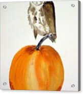 Owloween Acrylic Print