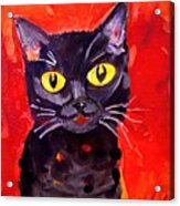 Painting Black Cat Portrait On A Red Background Acrylic Print