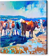 Painting Braith Cows Background Art Texture Color Acrylic Print