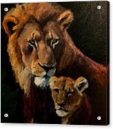 Painting Confidence Lion Wildlife Leo Fur Portrai Acrylic Print