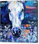 Painting Horse Paint Background Illustration Brus Acrylic Print