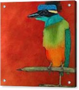 Painting Soledad Bird Colorful Art Wildlife Anima Acrylic Print