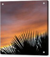 Palm Leaves And Soft Clouds At Sunset Acrylic Print