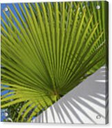 Green Palm Leaves, Blue Sky And White Wall Of A Modern Finca 2 Acrylic Print
