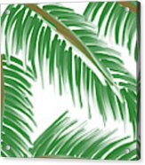 Palm Leaves Acrylic Print