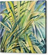 Palm Leaves Acrylic Print