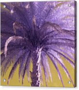 Palm Tree Acrylic Print