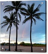 Palm Tree Rainbow, South Beach, Miami, Florida Acrylic Print