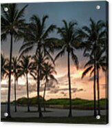 Palm Tree Sunset, South Beach, Miami, Florida Acrylic Print