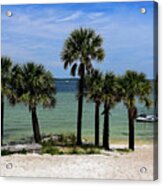 Palm Trees On Pensacola Beach Acrylic Print