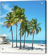 Palm Trees On The Beach, Key Biscayne, Florida Acrylic Print